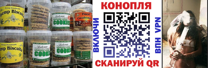 Купить закладки  Темников  Canna-Cookies конопля 