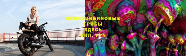 дживик Магас