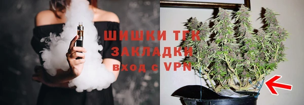 шишки Магадан