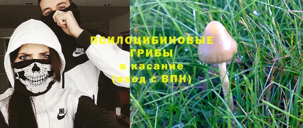 а пвп мука Лиски