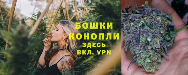 шишки Магадан