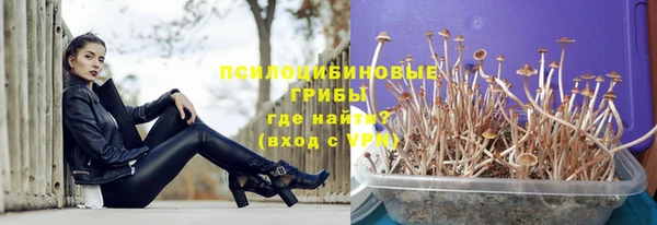 шишки Магадан