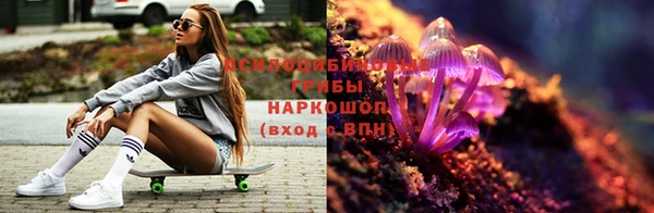 шишки Магадан