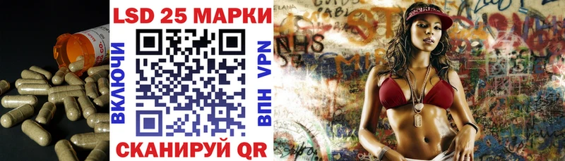 Купить закладки  Темников  LSD-25 экстази кислота 