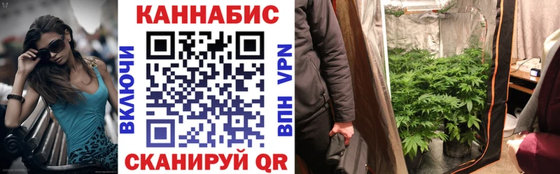 МАРИХУАНА Amnesia  Купить закладки  Темников 